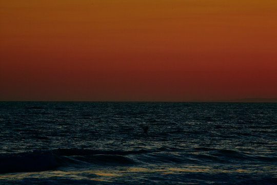 Sunset red ocean