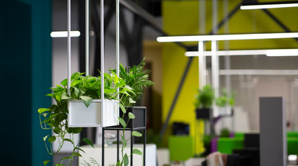 Decoration modern office interior style green eco environmental