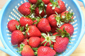 Fragole di stagione. Sicilia