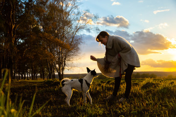 The owner teaches the dog commands at dusk on the field, training the animal