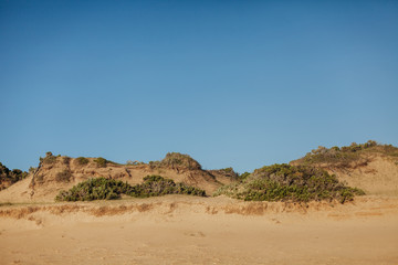 Fototapeta na wymiar Golden sand dunes on remote Australian beach
