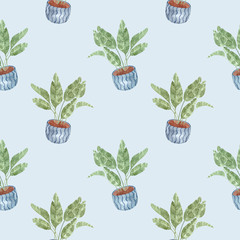Watercolor seamless pattern with potted houseplants. Watercolor painting. Palm, indoor banana.