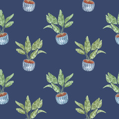 Watercolor seamless pattern with potted houseplants. Watercolor painting. Palm, indoor banana.