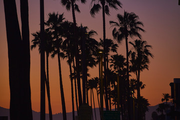 Sunset California