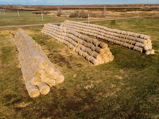 Rolls of haystacks on the field as agriculture harvest concept.