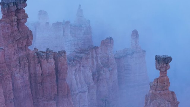 Thors Hammer, View of hoodoos and cliffs, rock erosion in natural amphitheatre, Bryce Canyon, Bryce Canyon National Park , Utah, United States, America