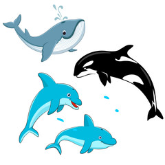 Obraz na płótnie Canvas Set of vector whales and dolphins. Vector illustration of marine mammals, such as blue whale, dolphin, killer whale