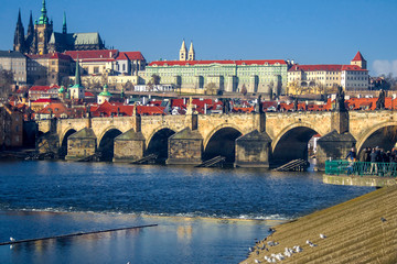 Obraz premium View of the Vltava River and the bridges shined with the sunset sun, Prague