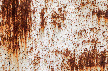 old iron rusty wall close up