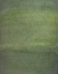 agave