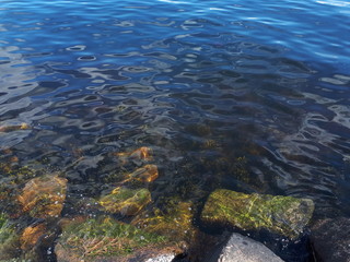 Relax over the transparent blue water - Lysaker 