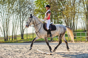 Girl equestrian rider riding a beautiful horse  in the rays of the setting sun.