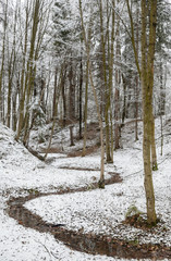 The brook in the winter forest.