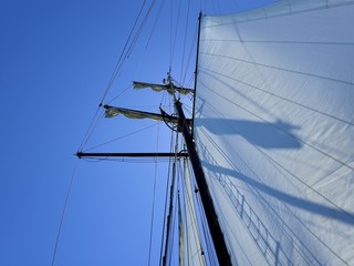 SAIL