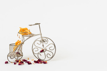 Decorative metal bicycle and dried flowers in front of a white background.