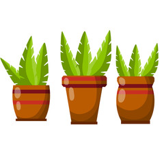 Pot of a house plant. Set of Brown flowerpot. Green leaves and gardening. Decoration for home. Cartoon flat illustration