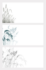 Set borders of a row of wildflowers and grass, vector illustration