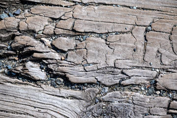 Background texture: wood #2