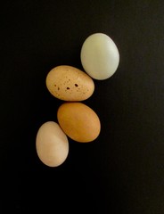 Eggs:  So pretty.