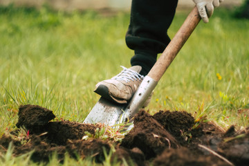 Close up man digs soil with metal shovel. Digging ground for plant seeding. Agriculture concept. Worker in gloves 