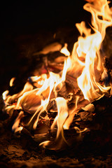 fire in the fireplace