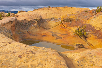 Pot hole Pond on a Sandstone Ridge