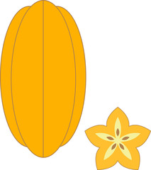 Exotic fruit Carambola slice vector