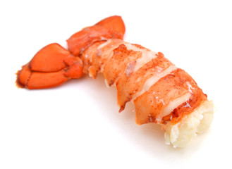 lobster tail isolated