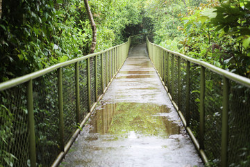 Bridge in a rainy day in Costa Rica