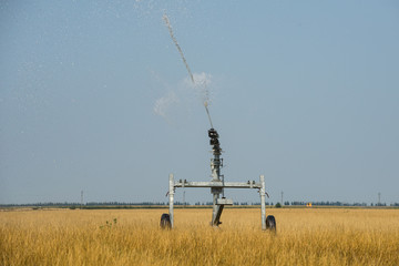 Irrigation system working on a field