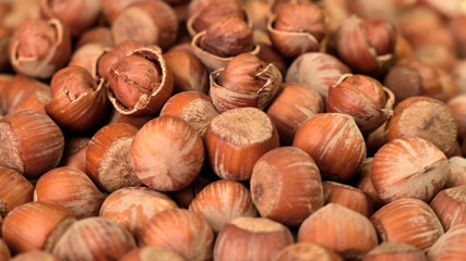 Fresh peeled and inshell hazelnuts rotating. Close up.