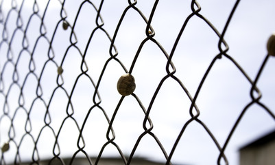 Dry snails fence