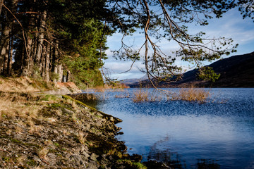 Loch Arklet. Trossachs National Park, Scotland
