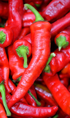 red hot chili peppers, close up