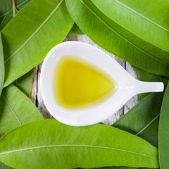 eucalyptus essential oil in bowl, with eucalyptus leaves on wooden background