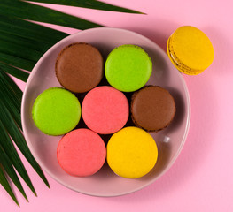 .macaroons in a plate on a pink background