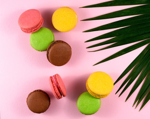 palm leaves and macaroons on a pink background