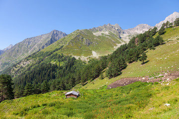 An old log cabin in the mountains of the Caucasus in springtime. Copy space. 