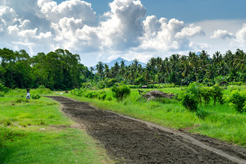 Fototapeta na wymiar balinese rural landscape with path on a cloudy day