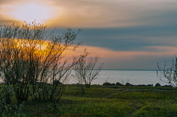 Obraz na płótnie Canvas Evening sunset on the Baltic sea
