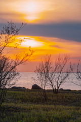 Fototapeta na wymiar Evening sunset on the Baltic sea