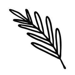 Simple image of willow in linear hand drawing style. Vector willow branch on a white background. Decorative element for cards, backgrounds and print design. Vector stock plant in vintage design.