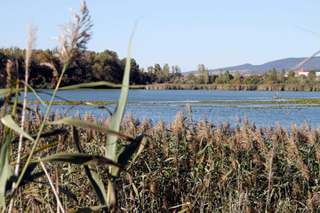 Lake, Breitungen Lake, Nature reserve, Breitungen, Thueringen, Germany, Europe