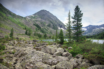 Fototapeta na wymiar Landscape with mountainous rocky valley, Altai.