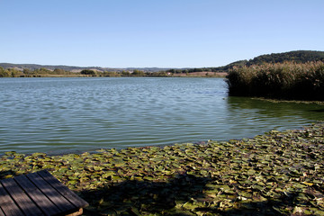 Lake, Breitungen Lake, Nature reserve, Breitungen, Thueringen, Germany, Europe
