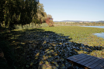 Lake, Breitungen Lake, Nature reserve, Breitungen, Thueringen, Germany, Europe