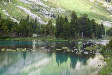 Fototapeta na wymiar Shore of a clean mountain lake with reflection in the water, Altai.