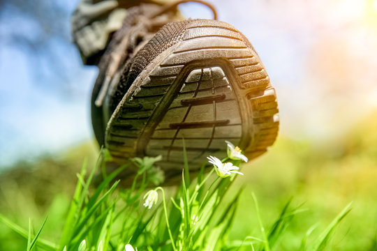 human foot in a shoe tramples white flowers on a green field