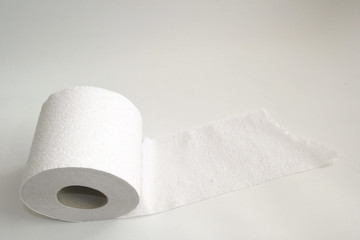 toilet paper on a white background