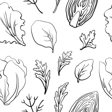 Seamless pattern with salad leaves and herbs/ Hand drawn black line sketch of herbs and salad greens isolated on white background/ Vector illustration